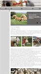 Mobile Screenshot of haflinger-online.de
